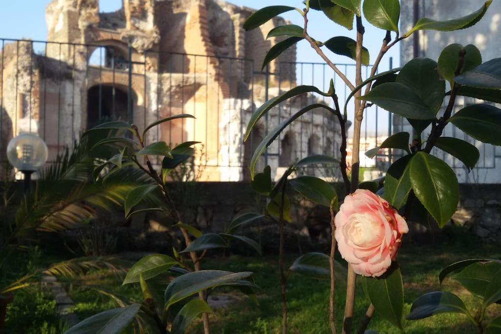 Casa Vacanze Antica Capua Santa Maria Capua Vetere Zewnętrze zdjęcie