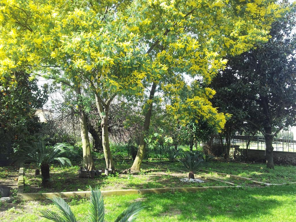 Casa Vacanze Antica Capua Santa Maria Capua Vetere Zewnętrze zdjęcie